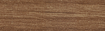 H1113_3853