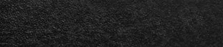 303017
